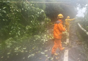 巴威颱風重創嘉義山區供電！台電動員搶修力拚最快復電
