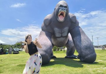 2026新竹市國際風箏節8/29、8/30登場！十週年「台灣印象」邀民眾迎風遊新竹
