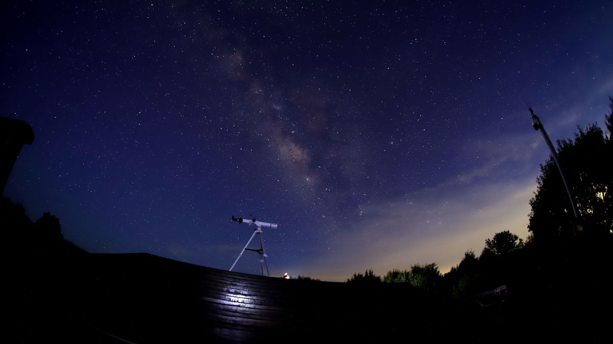 漫步森林賞秋星！阿里山「星燦山城」生態體驗營登場