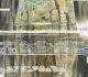 百年珍藏「風華再現」！-借古開今集逾400件佳作　引爆新世代藝術潮