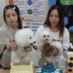 守護毛寶貝日常安全　新北動保處推gs安全標章