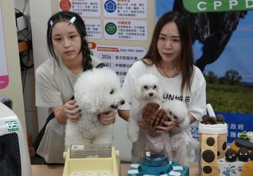 守護毛寶貝日常安全　新北動保處推gs安全標章