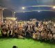 古早吃桌走進現代莊園！陽陽艾利森攜手盛昌打造「脆友吃桌」