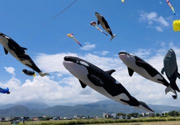 海洋風箏飛舞東莒福正沙灘！10月17、18日繽紛登場
