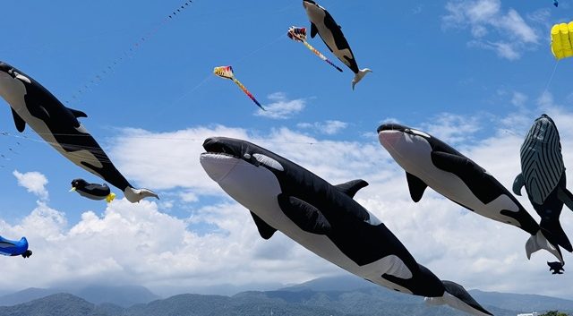 海洋風箏飛舞東莒福正沙灘！10月17、18日繽紛登場