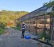 新北三峽2養禽場防鳥網破損　各挨罰3萬元